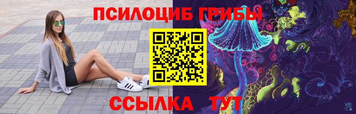 Арзамас  Псилоцибиновые грибы Psilocybe  Вход с VPN 