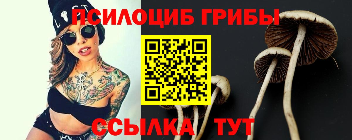 Псилоцибиновые грибы Cubensis Арзамас